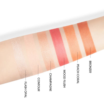 Blush and Concealer Palette Queen Beautiful